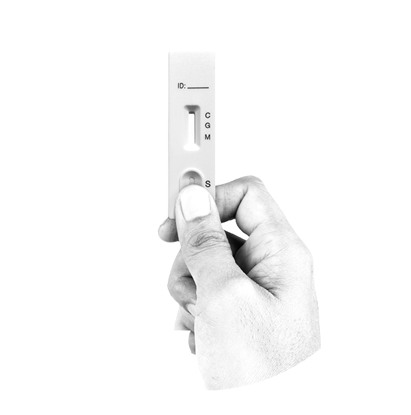 Rapid Antibody Test